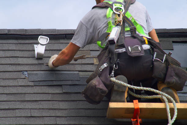 Best Roof Moss and Algae Removal  in Evansburg, PA