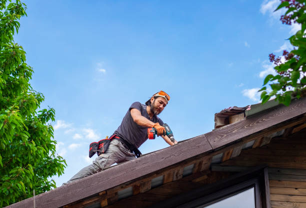 Best Skylight Installation and Repair  in Evansburg, PA